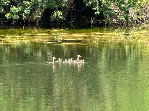 4430 Fm 1457, Round Top, TX 78954