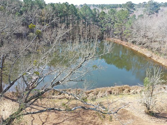 14th image of this home