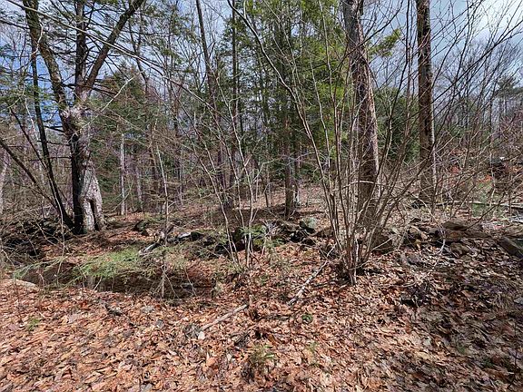 2nd image of Map 41 Lot 21 Jewett Road