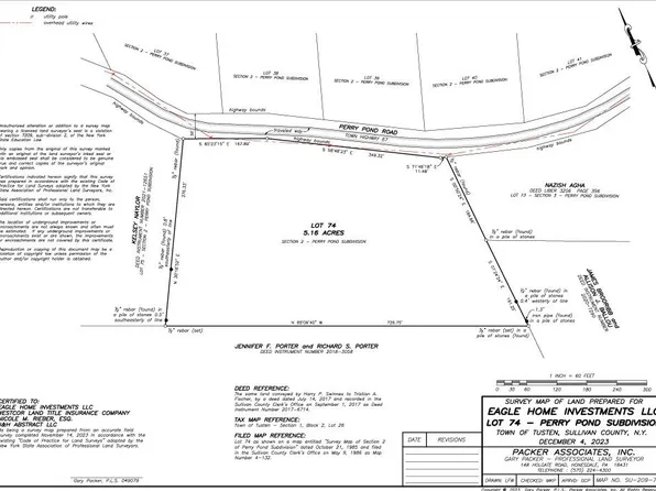Lot #74 Pond Perry Road, Narrowsburg, NY 12764
