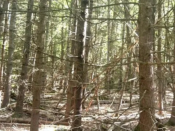 Bear Town Rd, Cresco, PA 18326
