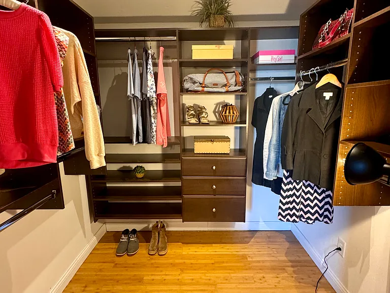 BR walk in with built ins