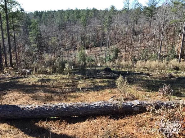 2072 Snowmass Dr #36, Connelly Springs, NC 28612