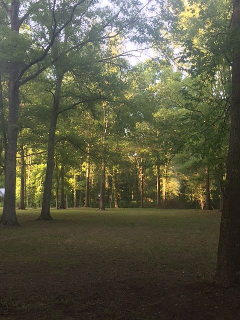 2nd image of Stewart Rd