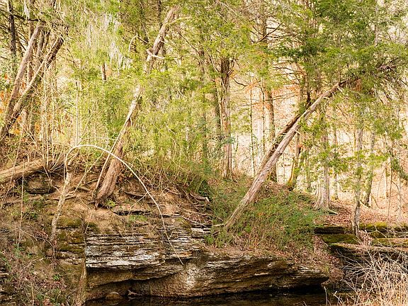 72nd image of this home