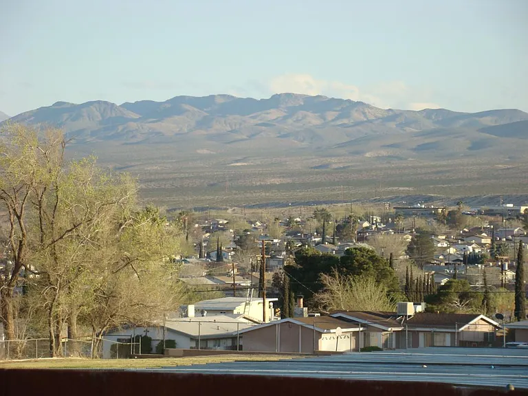 View from backyard