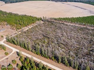 0 NE Vacant River Trace Trl, Lee, FL 32059