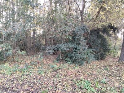 Raquel Ln, Tallahassee, FL, 32312