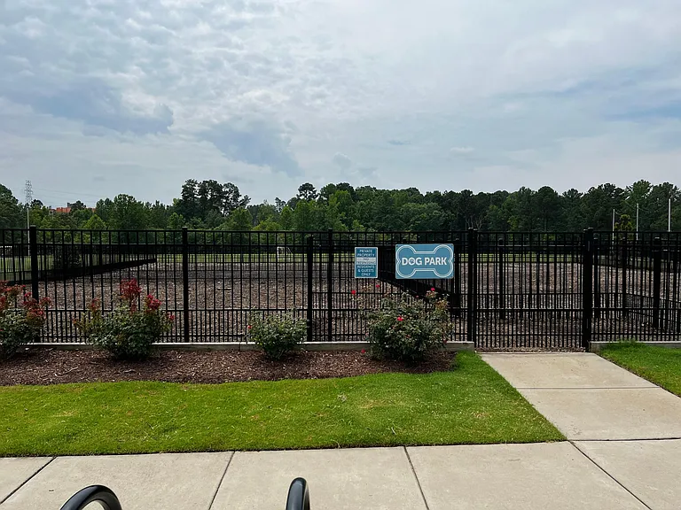3108 Star Gazing Ln — Photo 14