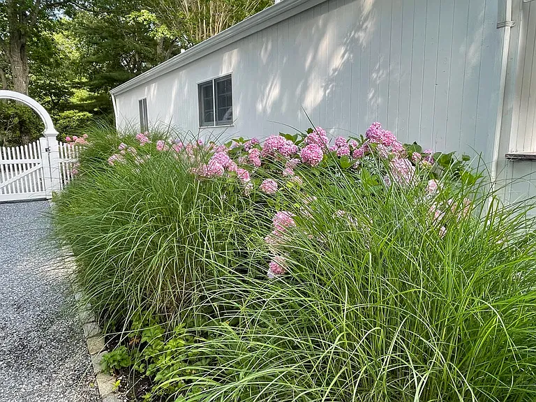 25 Midhampton Ave — Photo 32