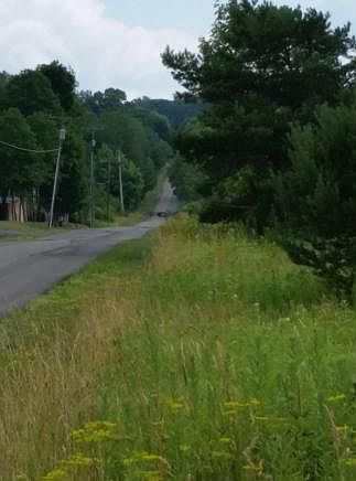2nd image of 182 Essex Rd