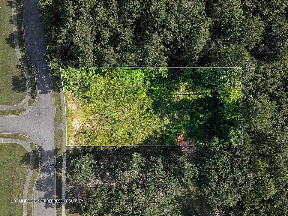 1st image of 64 Cherry Laurel Loop