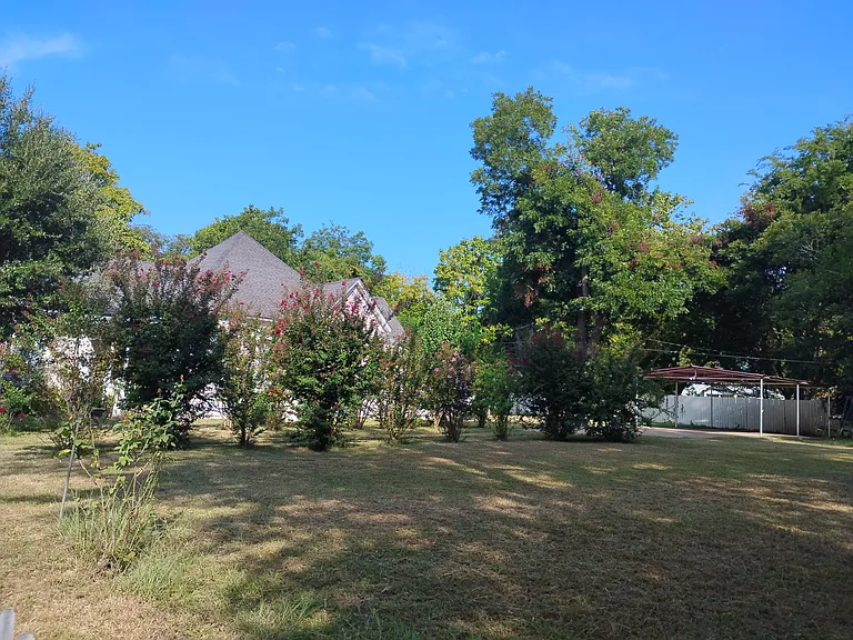 817 Louisiana St — Photo 3