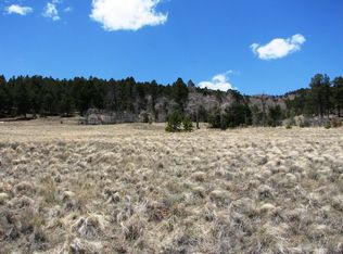 195 Hereford Ct, Hartsel, CO 80449