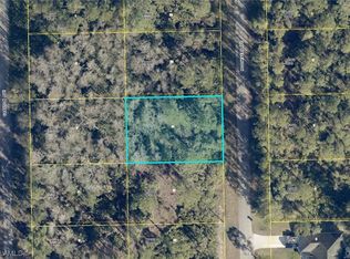 2021 Roosevelt Ave, Alva, FL 33920
