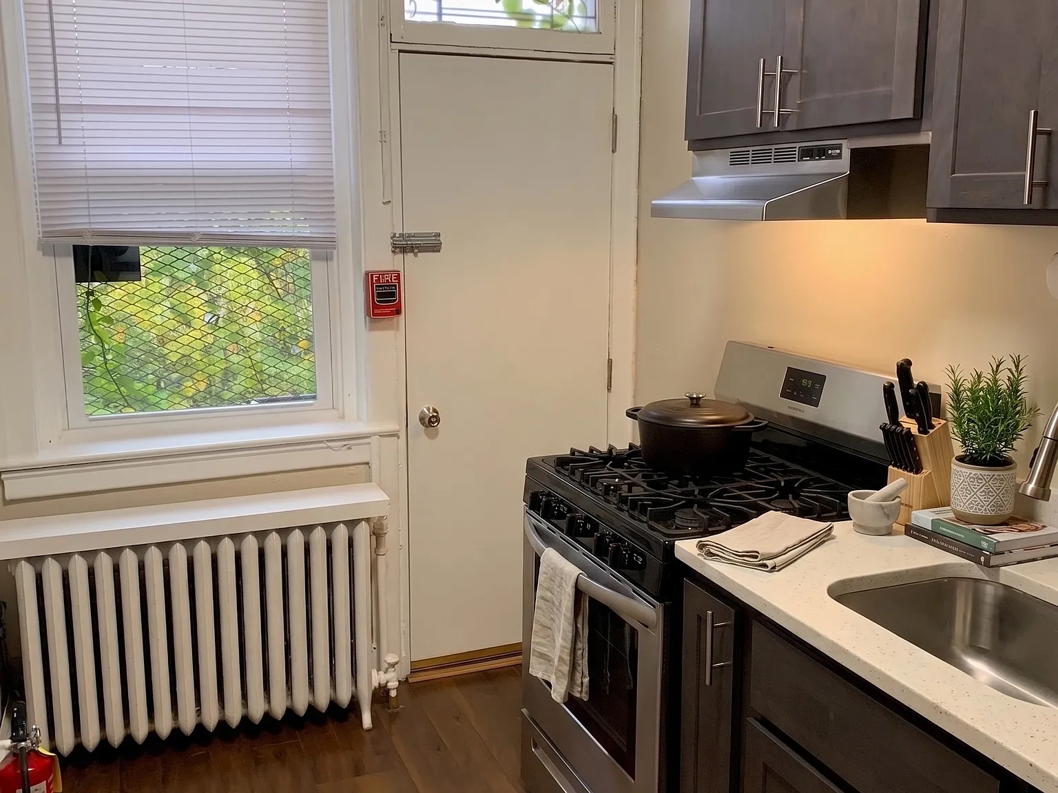 1 bed, 480 sqft, $1,600 — Photo 4