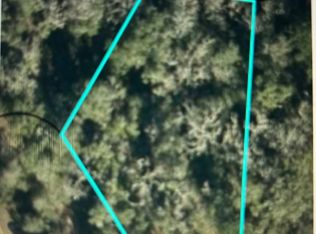 0 NW Kingsley Ln, Jennings, FL 32053