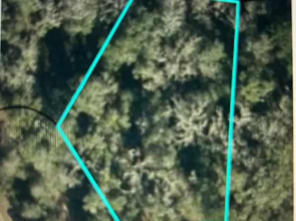 0 NW Kingsley Ln, Jennings, FL 32053