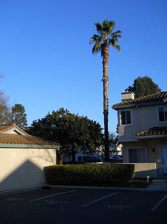 1st image of 1871 Sheri Ann Cir