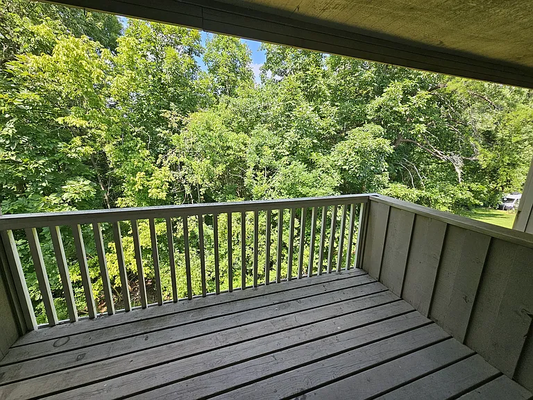 800 Reads Lake Rd #317 — Photo 10