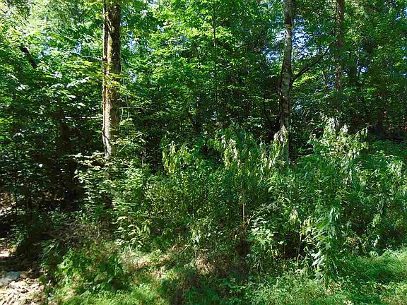 5th image of 120 Bream Ln