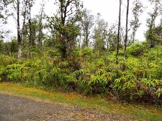 1st image of Menpachi St Lot 18