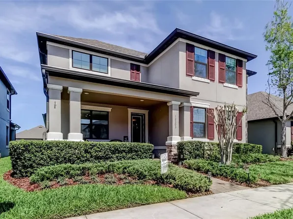 12303 Corkfield Ln, Odessa, FL 33556