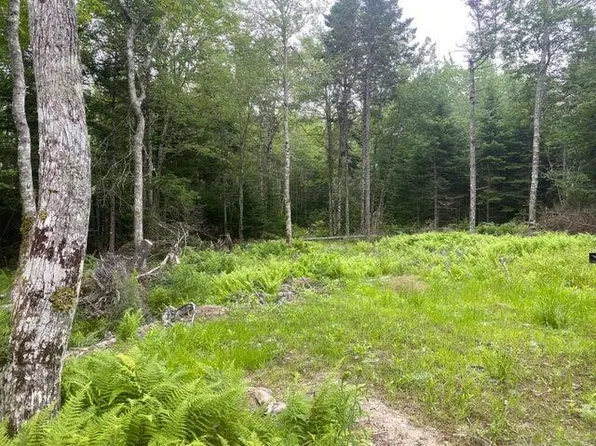 53 Woodland Drive, Trenton, ME 04605