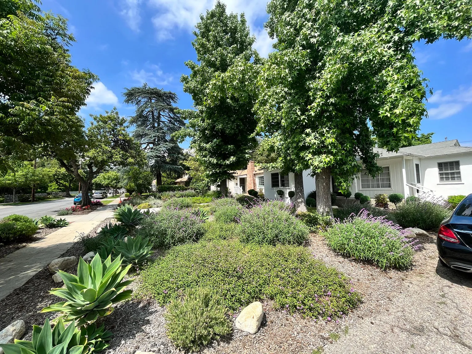 2442 Vista Laguna Ter — Photo 4