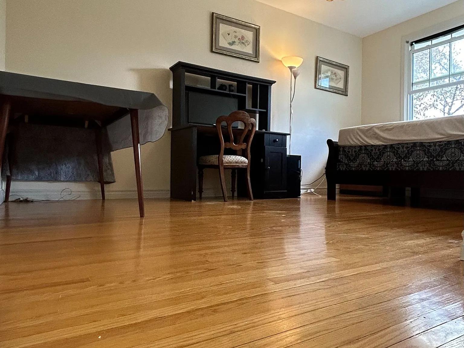 1 bed, $750 — Photo 4