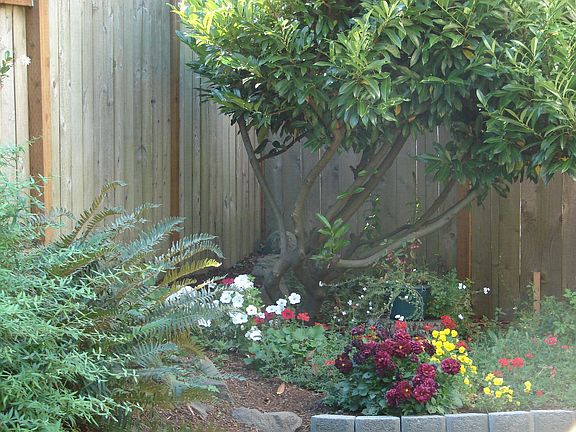 Beautiful landscaping