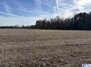 Indigo Landing Rd LOT 4, Scranton, SC 29591