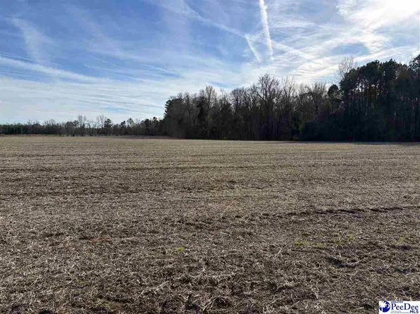 Indigo Landing Rd Lot 4, Scranton, SC 29591