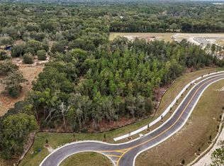 5936 Stoneybrook Hills Pkwy Lot 3, Mount Dora, FL 32757