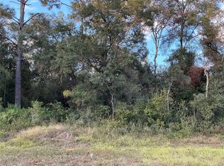 35031 Primrose Ln #7, Webster, FL 33597