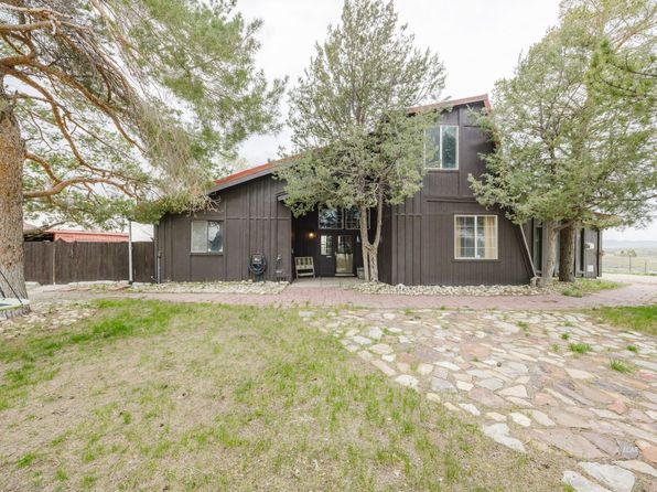 217 Country Club Pkwy, Spring Creek, NV 89815