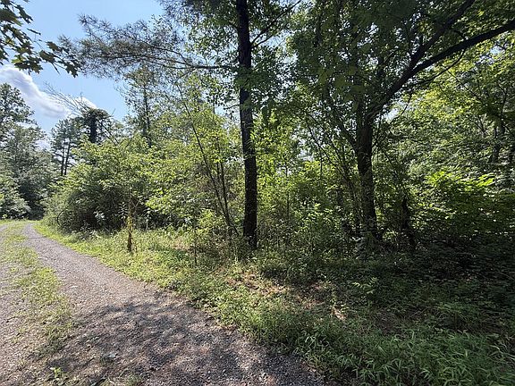 2nd image of Lampkins Rd