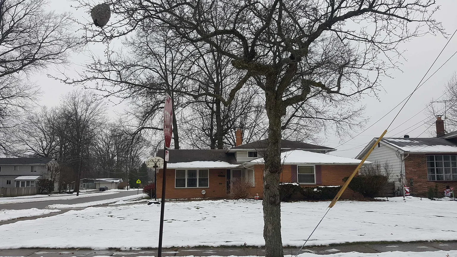 4316 Brendan Ln photo 1