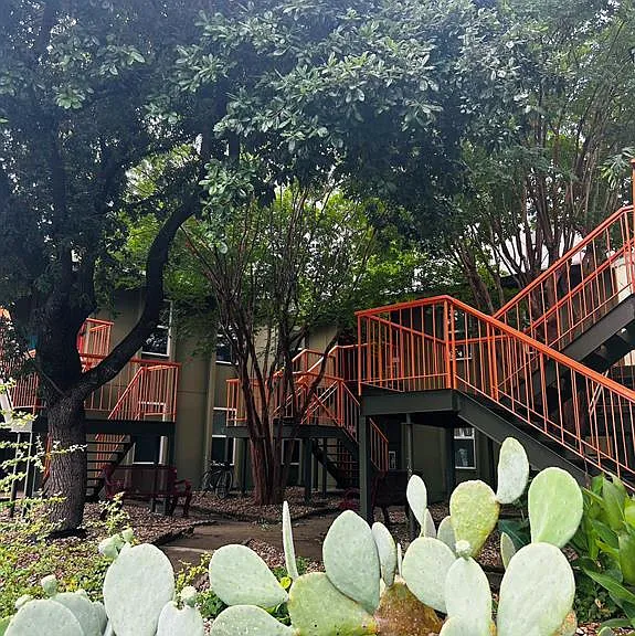 808 Winflo Dr #203 — Photo 6