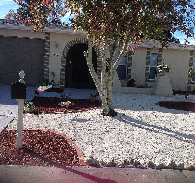 Easy Maintenance lawn