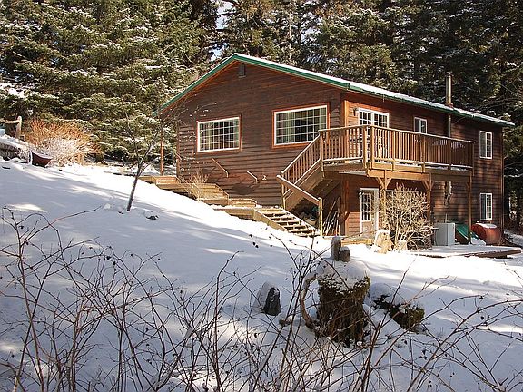 back view - winter