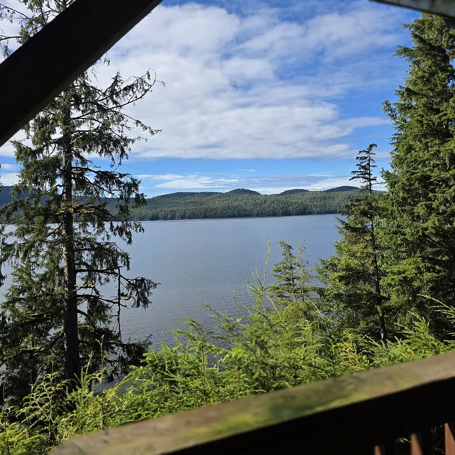 16781 North Tongass Highway - Main — Photo 2