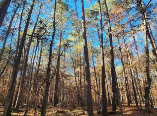 County Road 405, San Augustine, TX 75972