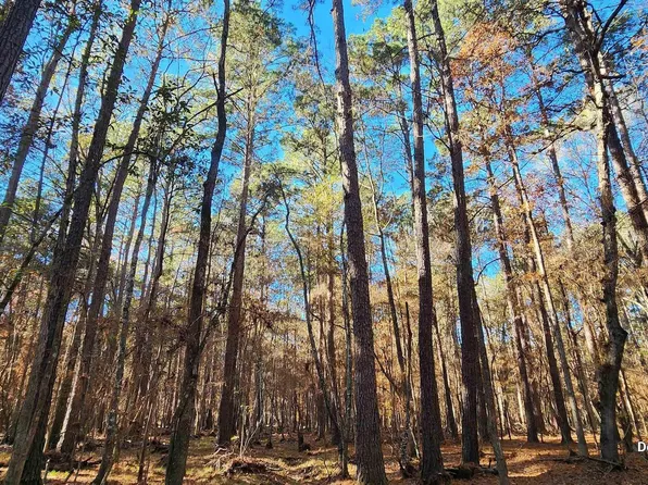 County Road 405, San Augustine, TX 75972