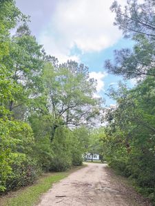 470 Weans Rd, Walterboro, SC, 29488