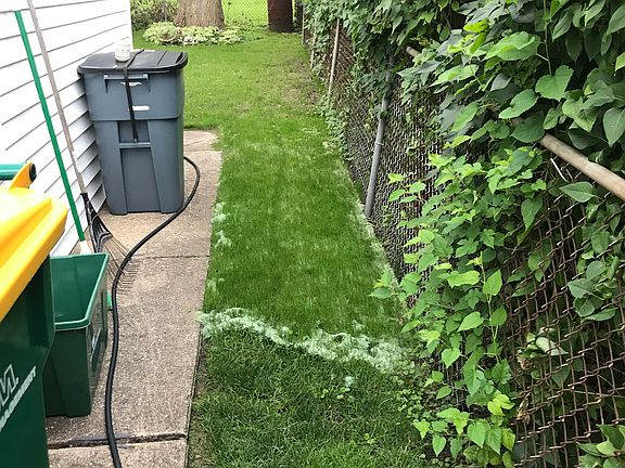 Side yard walkway 