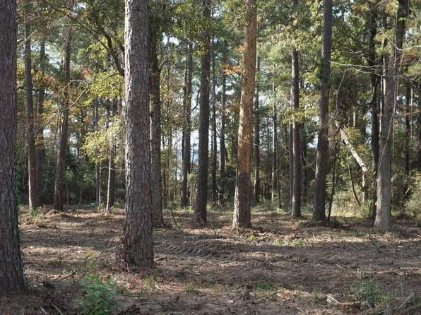 TRACT 1 68 Private Rd #6026, Brookeland, TX 75931