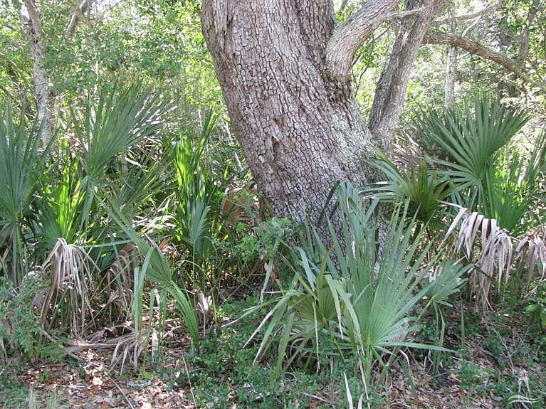 1st image of 544 Chicamacomico Woods(L#5555) LOT 5555