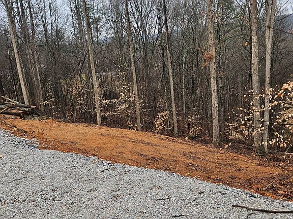 4th image of 294 Landmark Rd