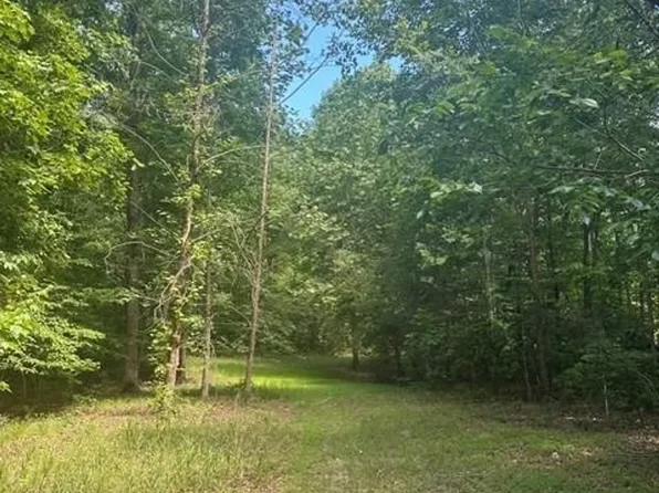43 Bluff Rd, Altamont, TN 37301